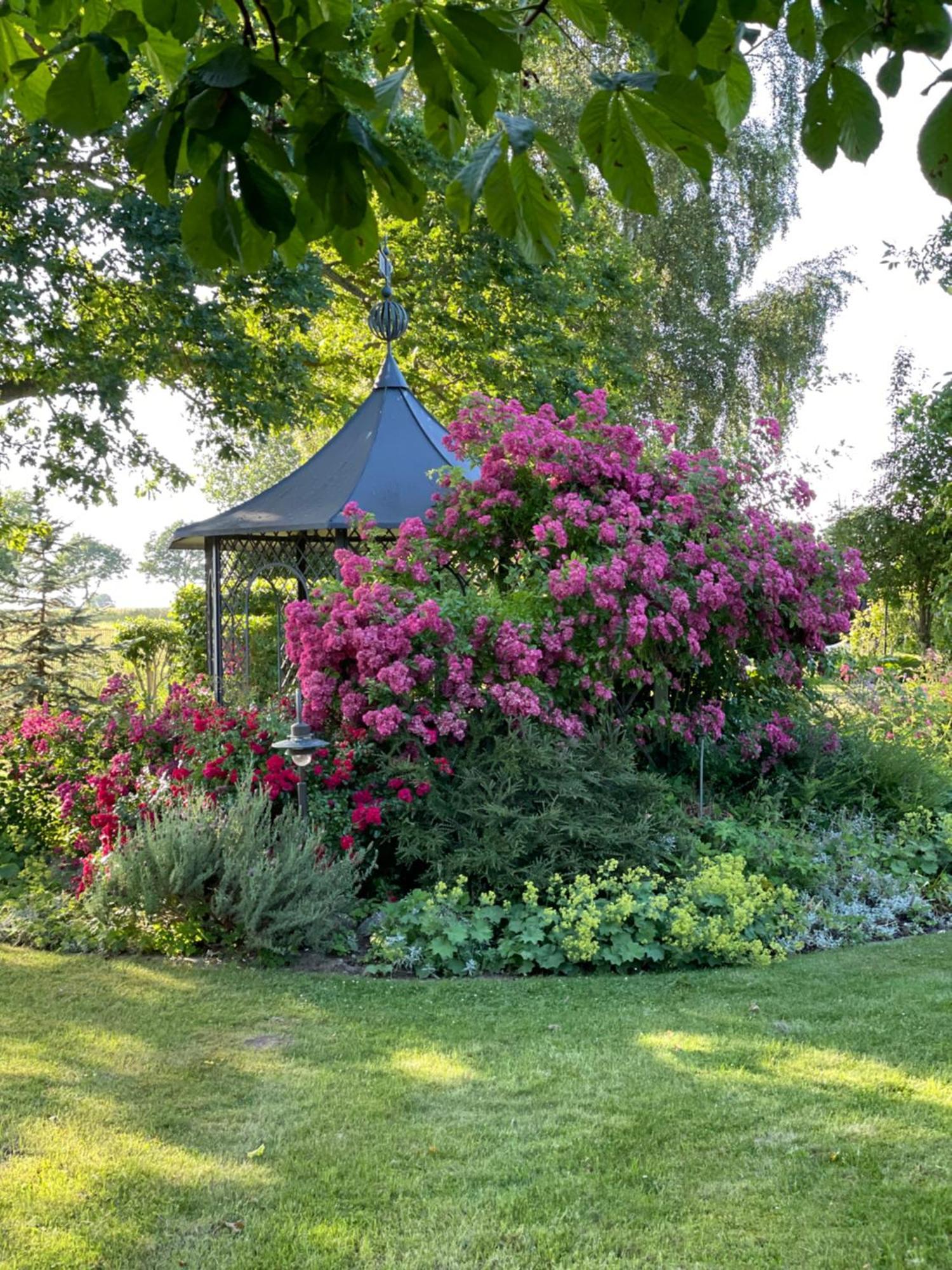 Villa Kronsteert Dahme  Esterno foto